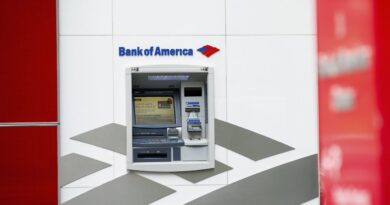 Bank of America Doubles Down on U.S. Consumer Market, CEO Moynihan Says