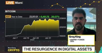 Bitcoin Has Hit the Bottom: Osprey Funds CEO