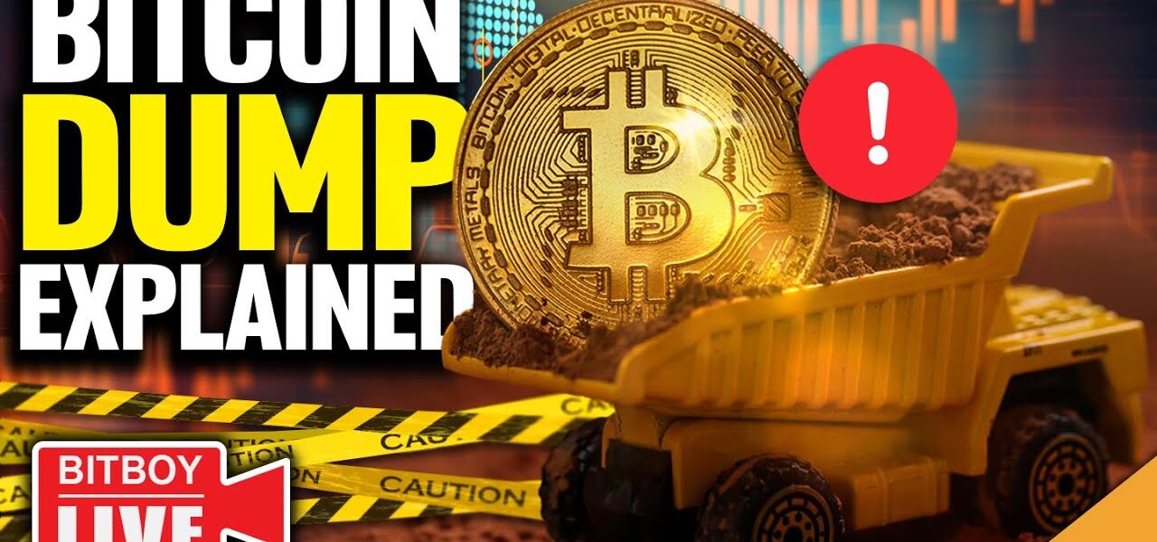 Bitcoin Price Dump EXPLAINED! (War on Crypto)