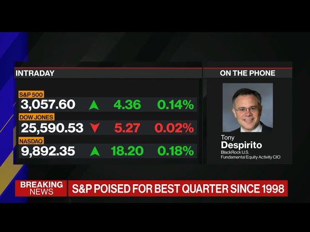 BlackRock’s Despirito Says Investors Need to Look Out for Dividend Cuts