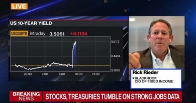 BlackRock’s Rieder Says Equities Are Just ‘Ok’