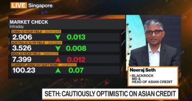 BlackRock’s Seth: Buy the Corrections in Asian Credit