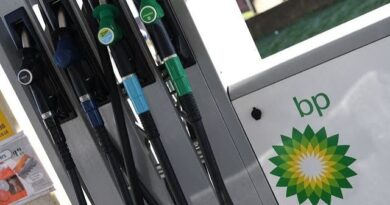 BP to Maintain Dividend in the Near Term, Analyst Gammel Says