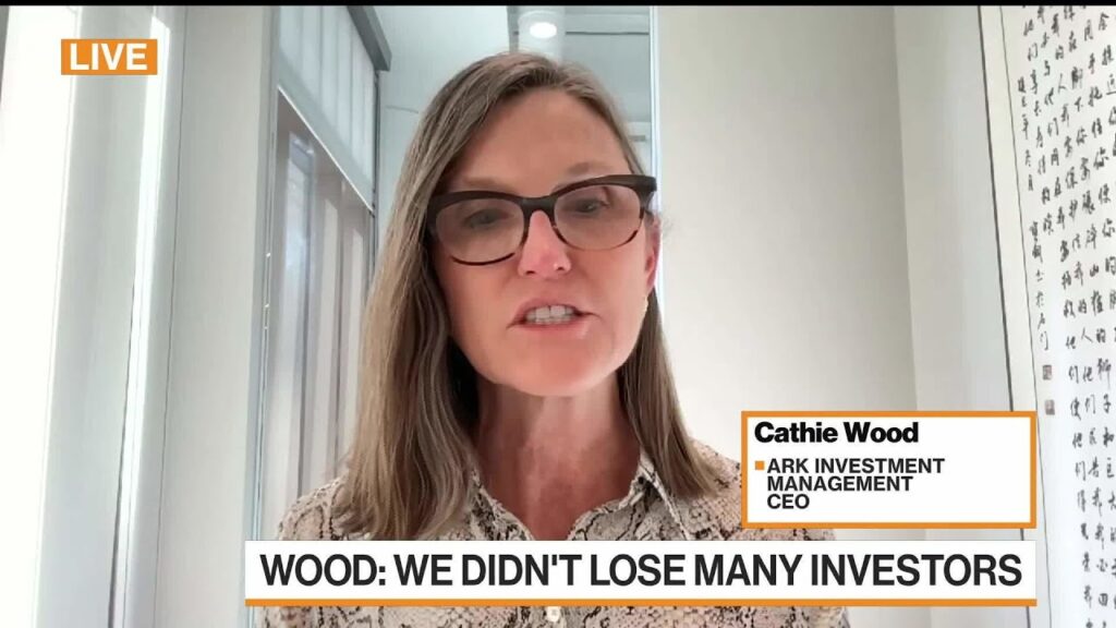 Cathie Wood Calls ARK Innovation ETF the ‘New Nasdaq’