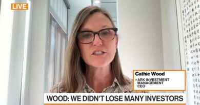 Cathie Wood Calls ARK Innovation ETF the ‘New Nasdaq’