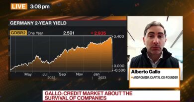 Central Banks Should Not Stop Raising Rates: Gallo