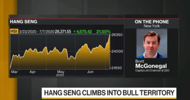 Chinese Stocks May Move Up About 20%, Capital Link’s McGonegal Says