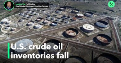 Crude oil supplies fall with lower driving demand