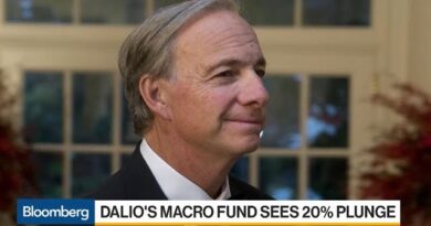 Dalio’s Macro Fund Drops 20% Amid Market Rout