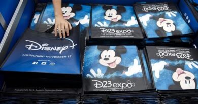 Disney + Streaming Service Is About to Hit Living Rooms