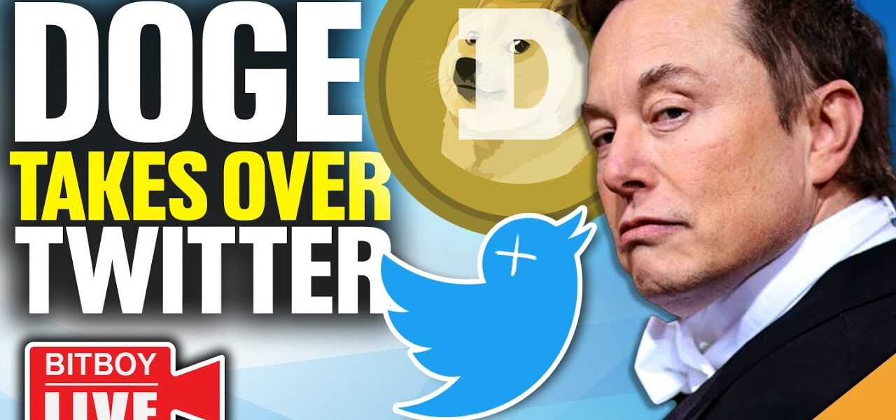 Doge Twitter TAKEOVER! (Ethereum OUTPERFORMS Bitcoin)