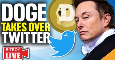 Doge Twitter TAKEOVER! (Ethereum OUTPERFORMS Bitcoin)