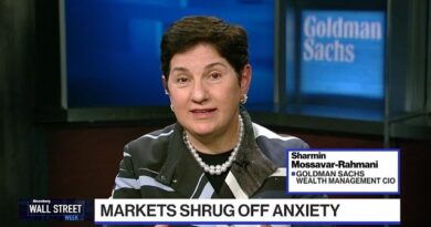 Markets are trading on economic fundamentals, says Goldman Sach’s Mossavar-Rahmani