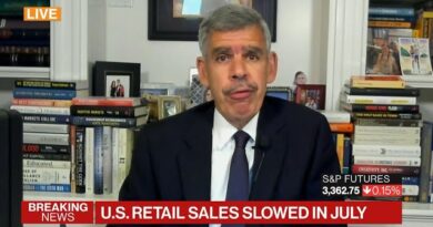 El-Erian: Economic Recovery Is Slowing