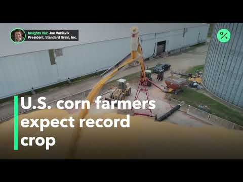 Favorable weather leads to bumper U.S. corn crop