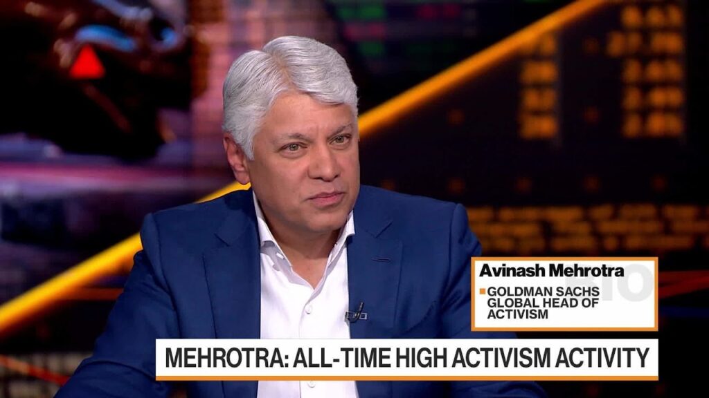 Goldman’s Mehrotra: Some Companies Are Facing a Swarm of Activists