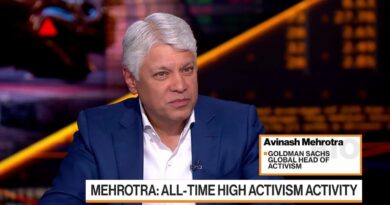 Goldman’s Mehrotra: Some Companies Are Facing a Swarm of Activists