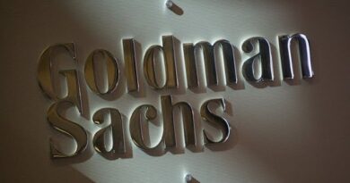 Goldman's Scher Expects Strong Equity, Debt Issuance