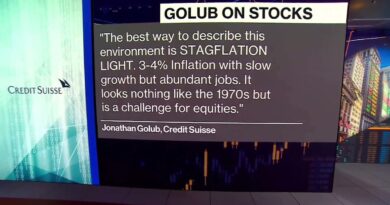 Golub: We’re in a Stagflation Light Environment