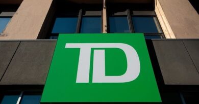 Gov’t Spending ‘Entirely Appropriate’ to Aid Recovery: TD CEO