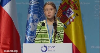 Greta Thunberg Says Almost Nothing Is Being Done About Climate Change