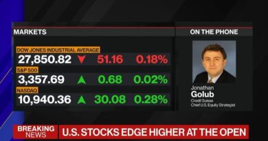 Growth Stocks Are the Theme Going Forward: Golub