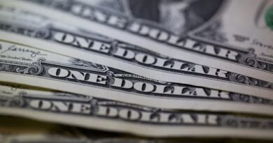 Hedge Funds Go All In on US Dollar