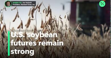 Here’s what to watch in the U.S. soybeans market