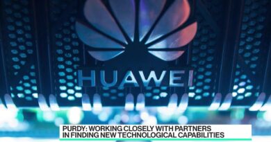 Huawei CSO on First Profit Fall in Decade