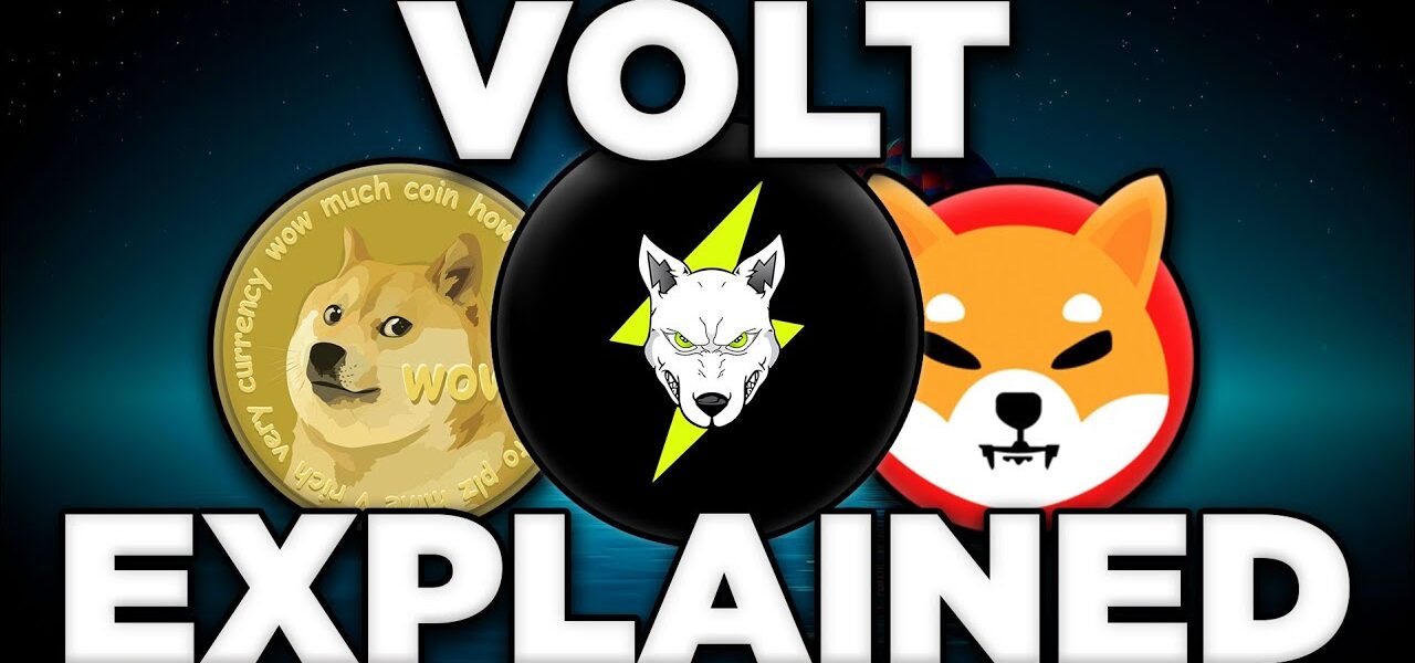 Is This Community-Driven DeFi Crypto The Next SHIB? | Volt Inu Explained