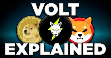 Is This Community-Driven DeFi Crypto The Next SHIB? | Volt Inu Explained