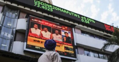 Making Sense of India’s Stock Markets