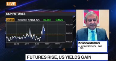 Memani: Hard to See a Bond Market Rally Now