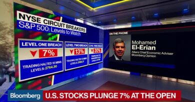 Mohammed El-Erian Tells Investors Not to Panic