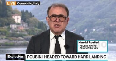 Nouriel Roubini Warns of Crashes, High Rate ‘Megathreat’