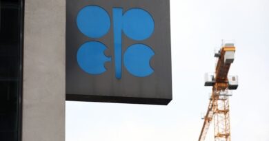 Oil Deal? Trump Pushes for OPEC+ to Reach Deal on Oil Cuts