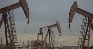 Oil Prices Will Remain Low in Short-Term: Goldman Sachs’ Tilton