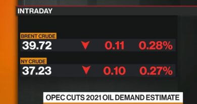 OPEC Lowers Forecast for Oil Demand, Prices Slip