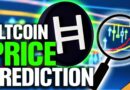 Price Prediction Department (HBAR PRIMED For Next Bull Run)