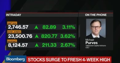 Purves Says Utility Stocks Could Rise Another 15-20%