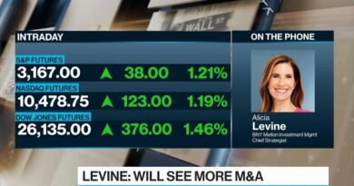 Berkshire Bet on Dominion a Positive Signal for Markets, BNY’s Levine Says