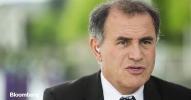 Roubini Sees Markets Mispricing V-shaped Recovery, Earnings