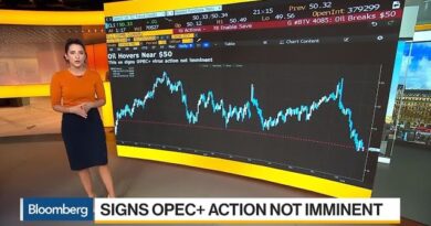 Signs OPEC+ Action Not Imminent