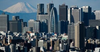 SocGen Favors Japanese, Euro-Zone Equities on Value Play