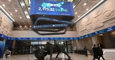 South Korean Stocks Favored, Seafarer Capital Says