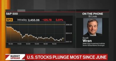 Stock Market Selloff Was Bound to Happen: Wells Fargo’s Wren