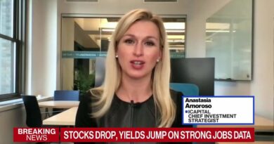 Stocks Are Due for a Pullback, iCapital’s Amoroso Says