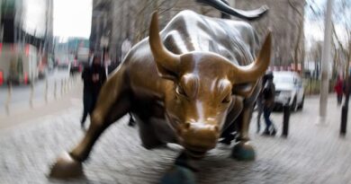 Stocks Entering New Bull Market Phase: Goldman’s Oppenheimer