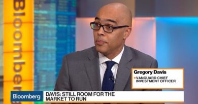 Stocks Still Have Room to Run, Vanguard CIO Davis Says