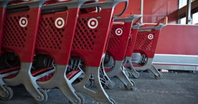 Target Misses the Mark on Holiday Sales